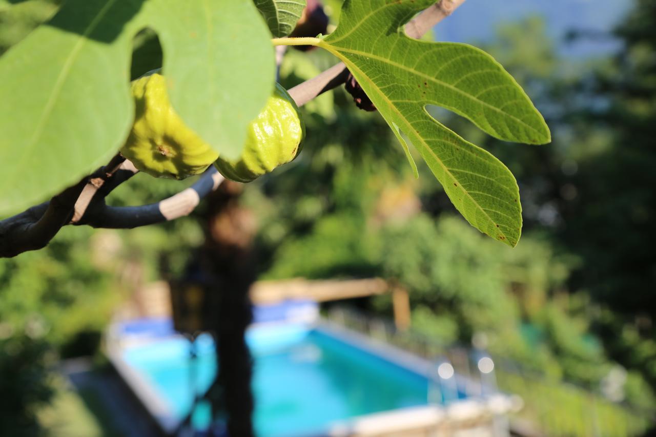 Appartamento Casa Scerina Sementina Esterno foto